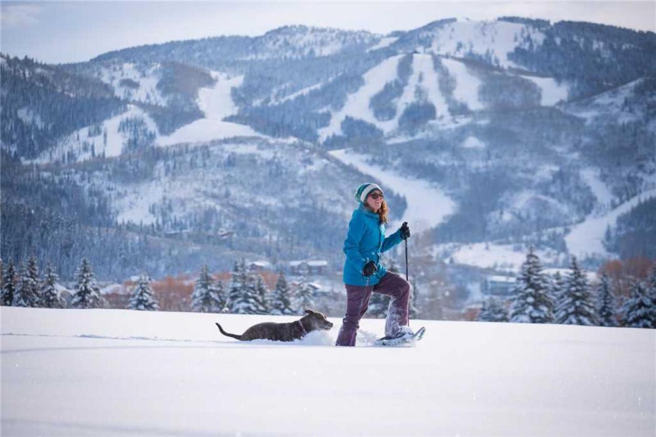 2101 Timberline Lodge, Trappeur'S Crossing スティームボートスプリングス エクステリア 写真